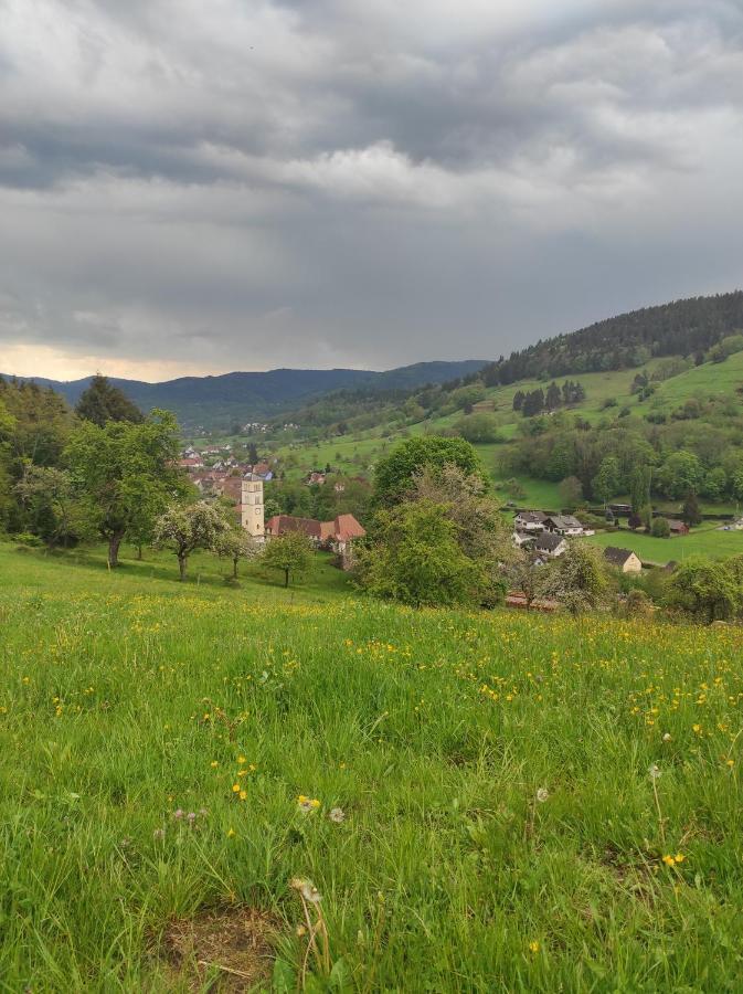 Gite Luxury A Soultzeren Dış mekan fotoğraf