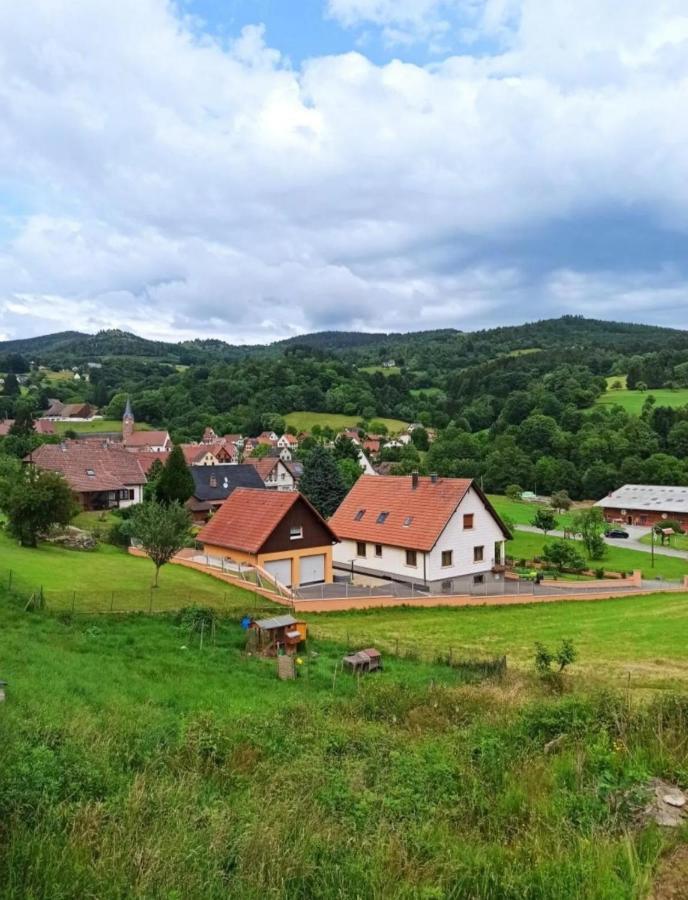 Gite Luxury A Soultzeren Dış mekan fotoğraf