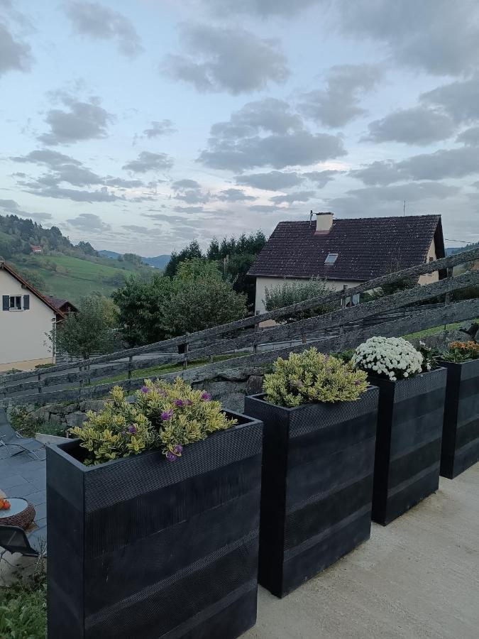 Gite Luxury A Soultzeren Dış mekan fotoğraf
